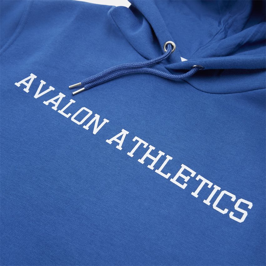 Avalon Athletics Sweatshirts DELRAY NAVY SEAL
